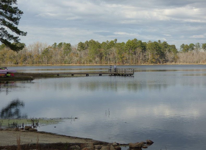 Little Pee Dee State Park, South Carolina, USA